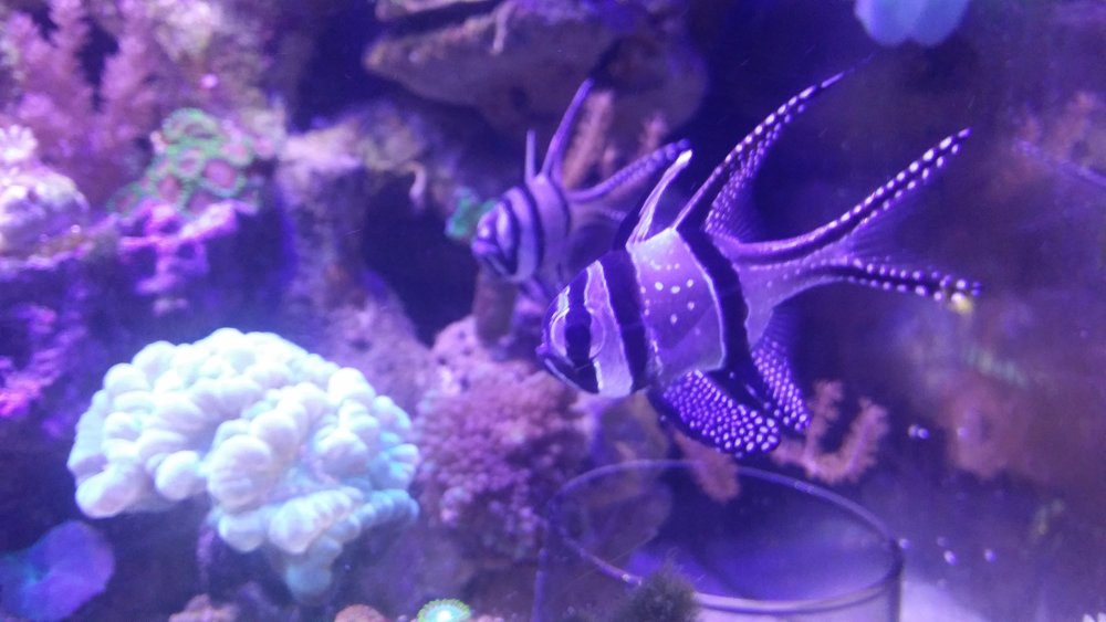 20160617_202248.jpg