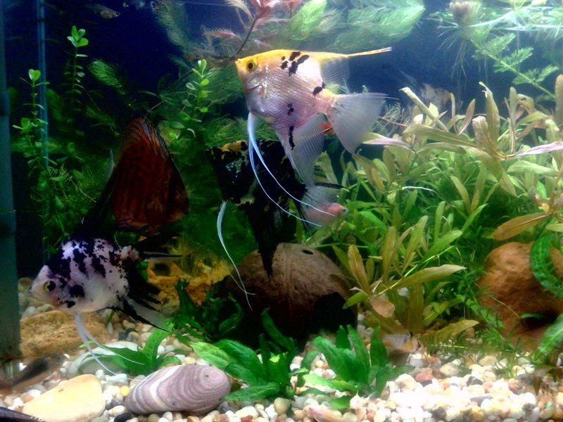 20130130558.jpg