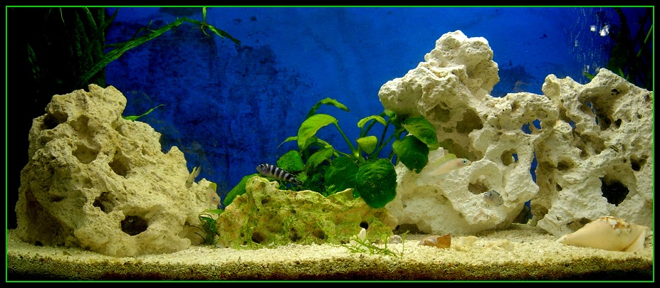 DSCN5174.JPG