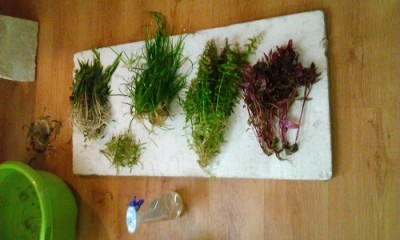 WP_20130520_045.jpg