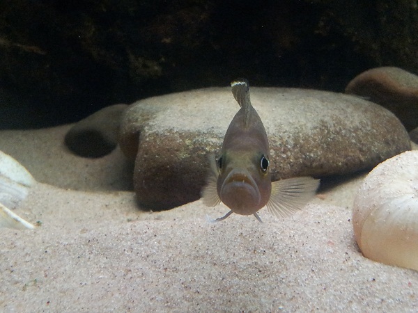 20130814_153048.jpg