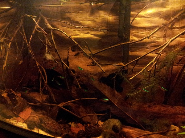 20121030_184729.jpg