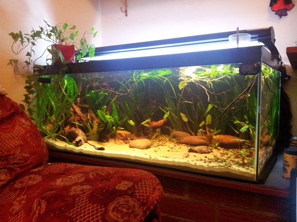 20130109_165248.jpg