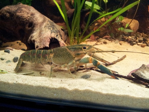 20130112_151848.jpg