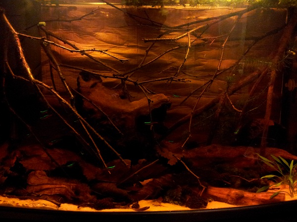 20121023_185244.jpg