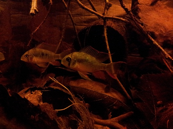 20121031_160408.jpg