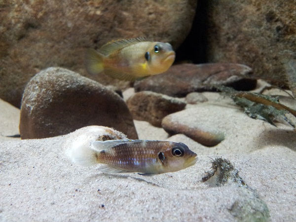 20130824_182704.jpg