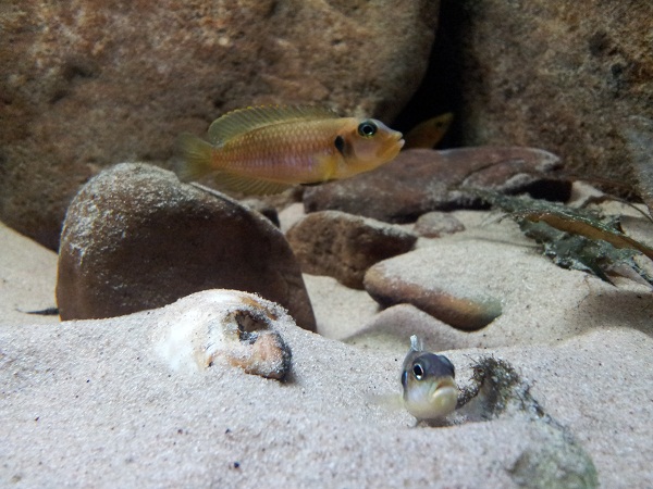 20130824_182652.jpg