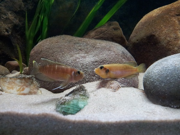 20130824_181746.jpg