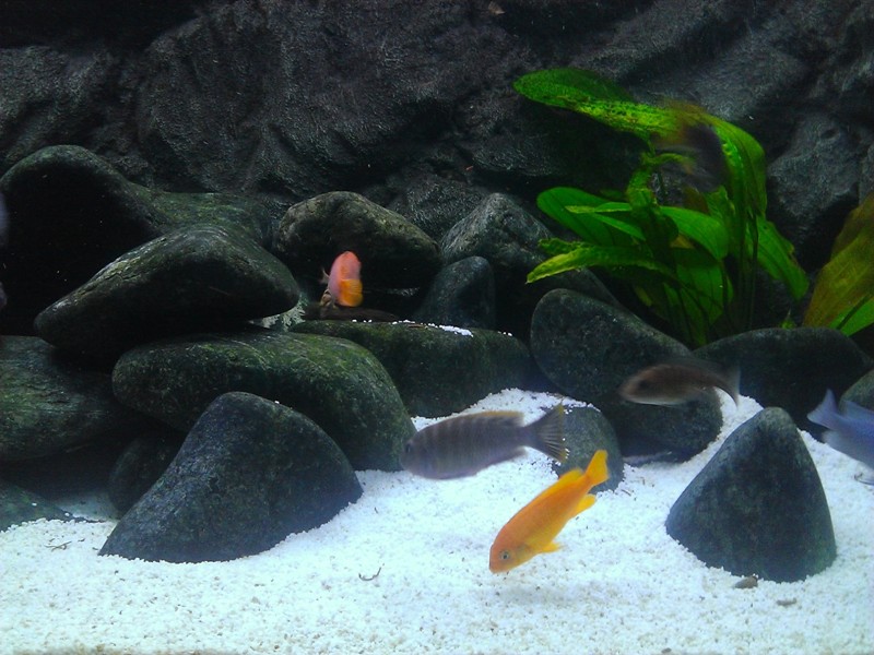 WP_20130817_018.jpg