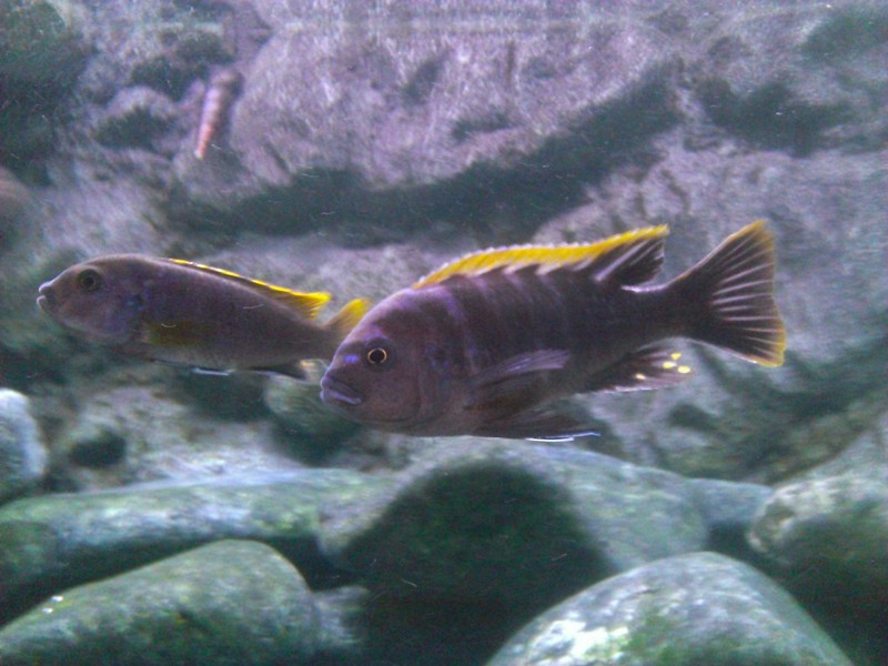WP_20130828_028.jpg