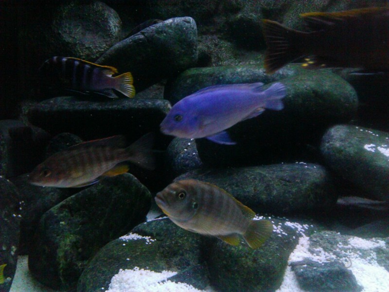 WP_20130828_005.jpg