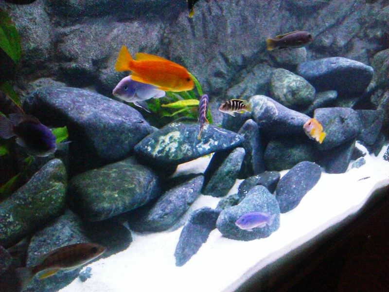 WP_20130902_037.jpg