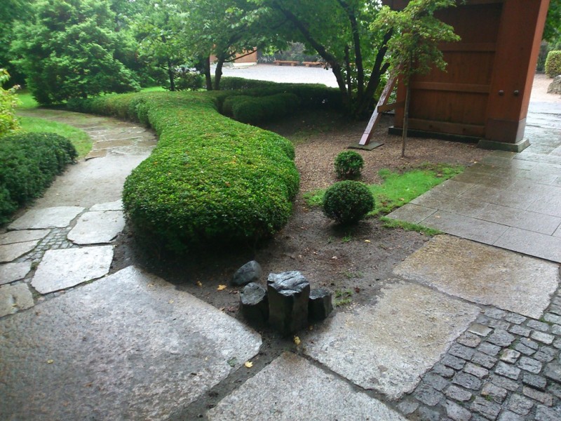 050.jpg