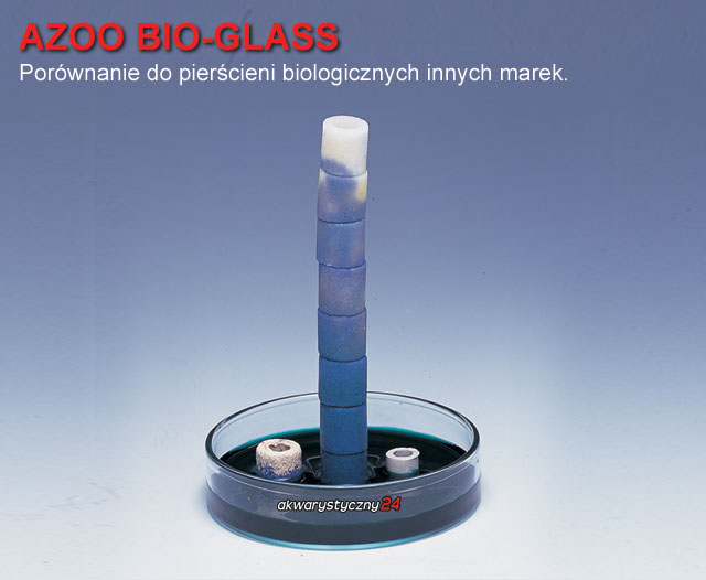 BioGlass3.jpg