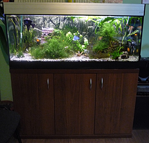 P1040540-crop.JPG