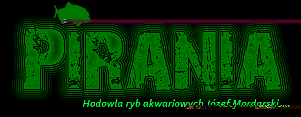 pirania logo.jpg