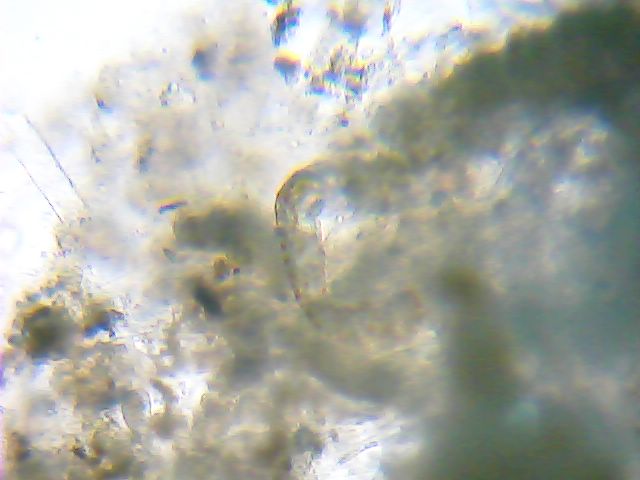 2012_12_20_17_25_23_406.jpg
