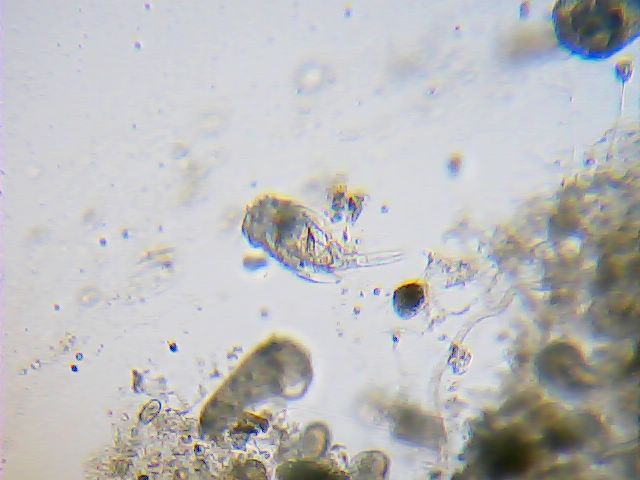 2012_12_20_17_25_56_125.jpg