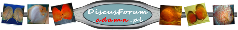 discusforum-podpis.png