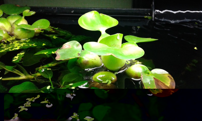 20140802_222105.jpg