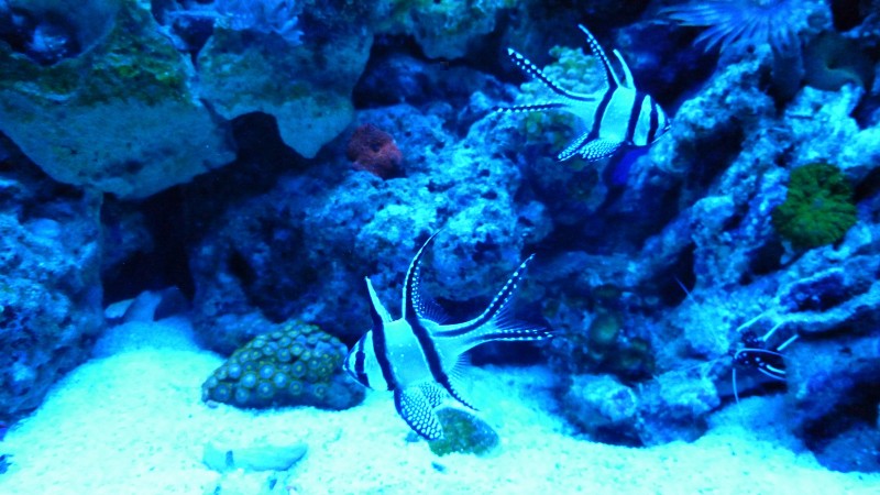 P1080119.JPG