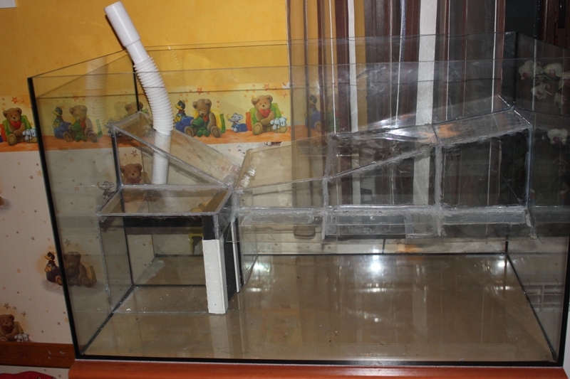 vivarium 002.jpg