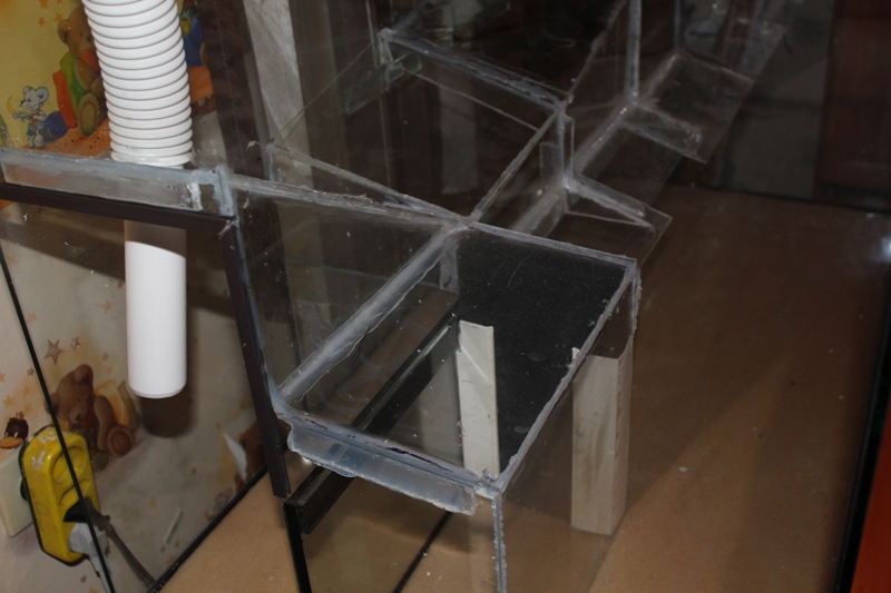 vivarium 003.jpg