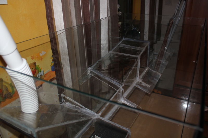 vivarium 005.jpg
