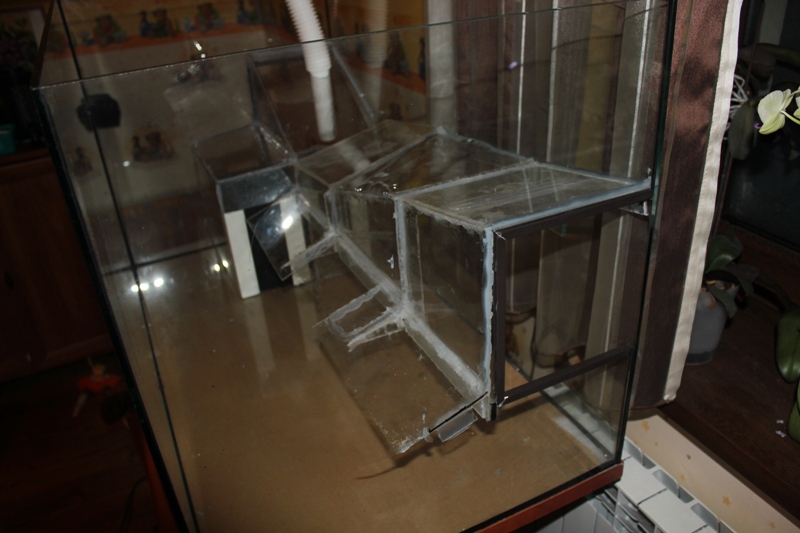 vivarium 007.jpg