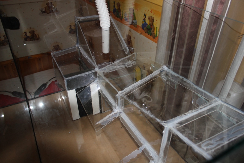 vivarium 008.jpg