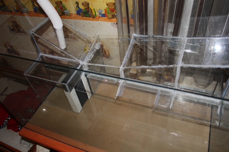 vivarium 010.jpg