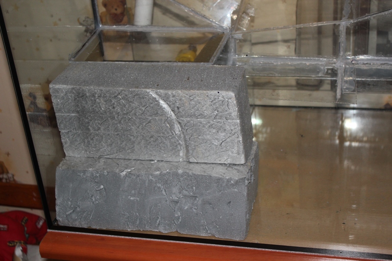 vivarium 015.jpg