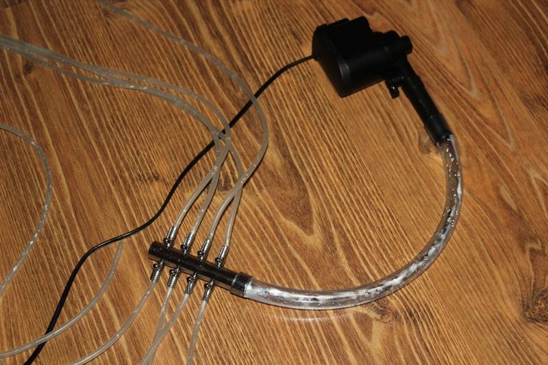 vivarium2 001.jpg