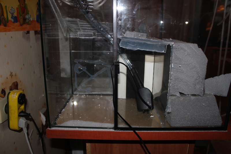 vivarium2 008.jpg