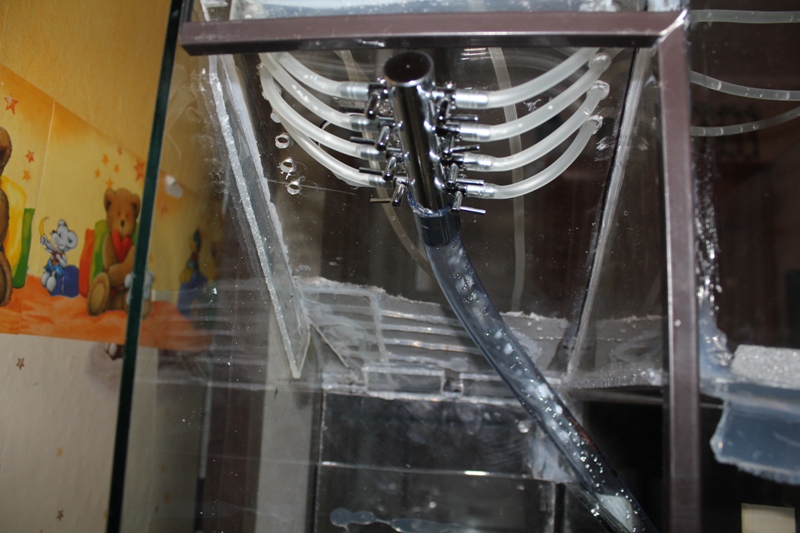 vivarium2 009.jpg