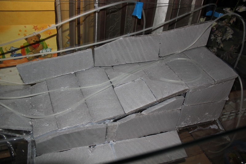 vivarium2 010.jpg