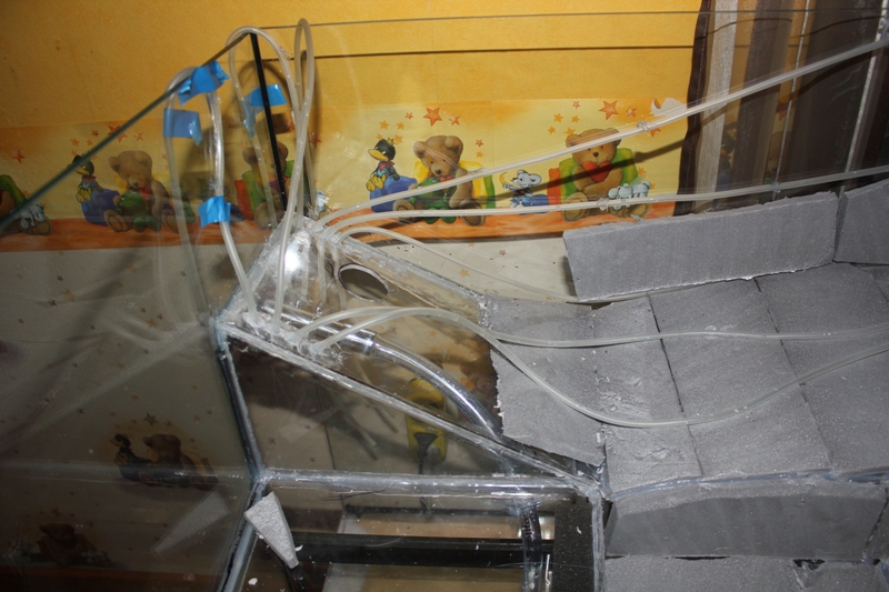 vivarium2 011.jpg