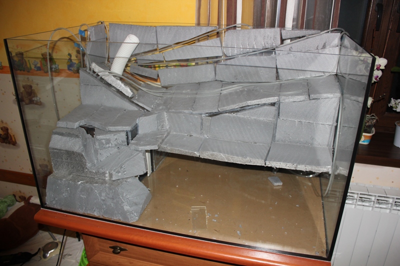 vivarium2 013.jpg