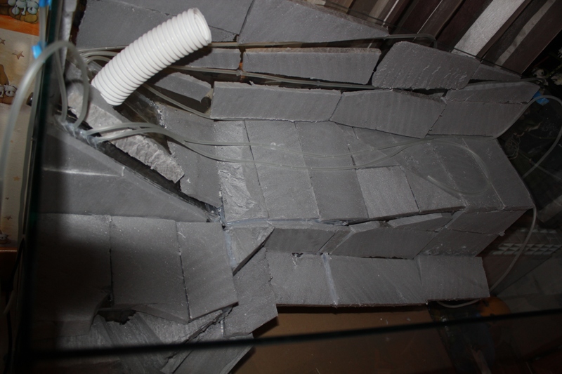 vivarium2 015.jpg