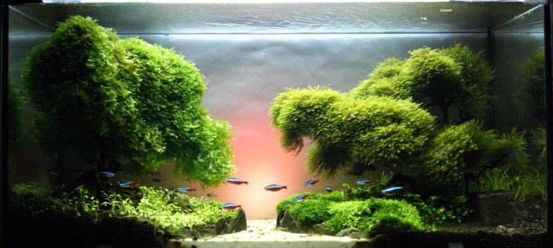 Lost Islands .JPG