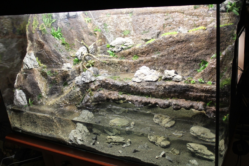 Vivarium 10 007.jpg