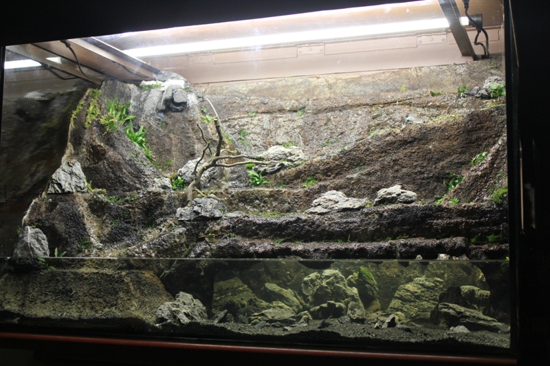 Vivarium 10 008.jpg