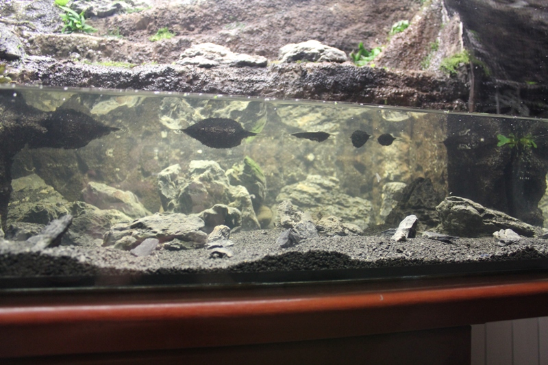 Vivarium 10 012.jpg