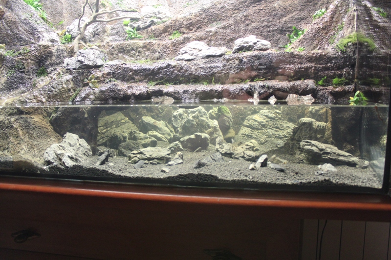 Vivarium 10 013.jpg