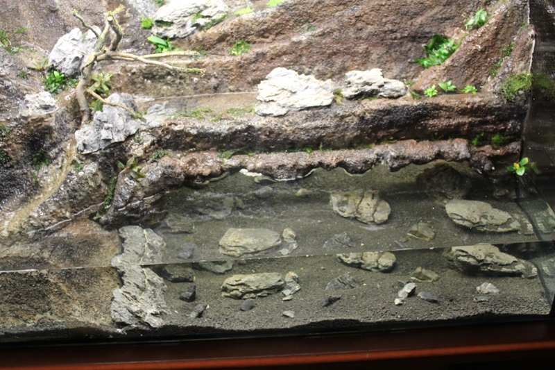 Vivarium 10 014.jpg