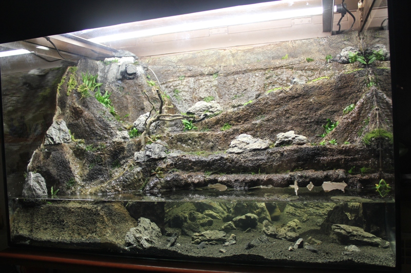 Vivarium 10 018.jpg