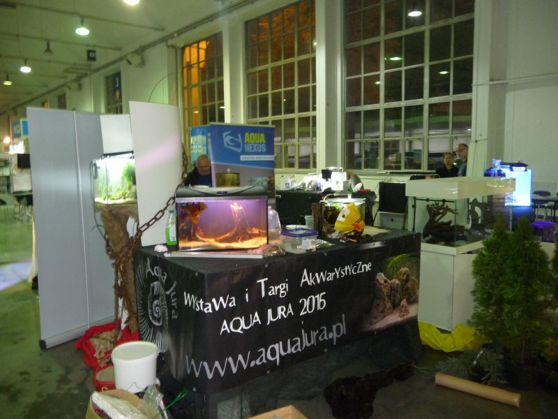 P1100183.JPG