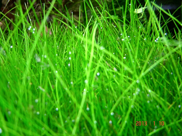 DSC08403.JPG