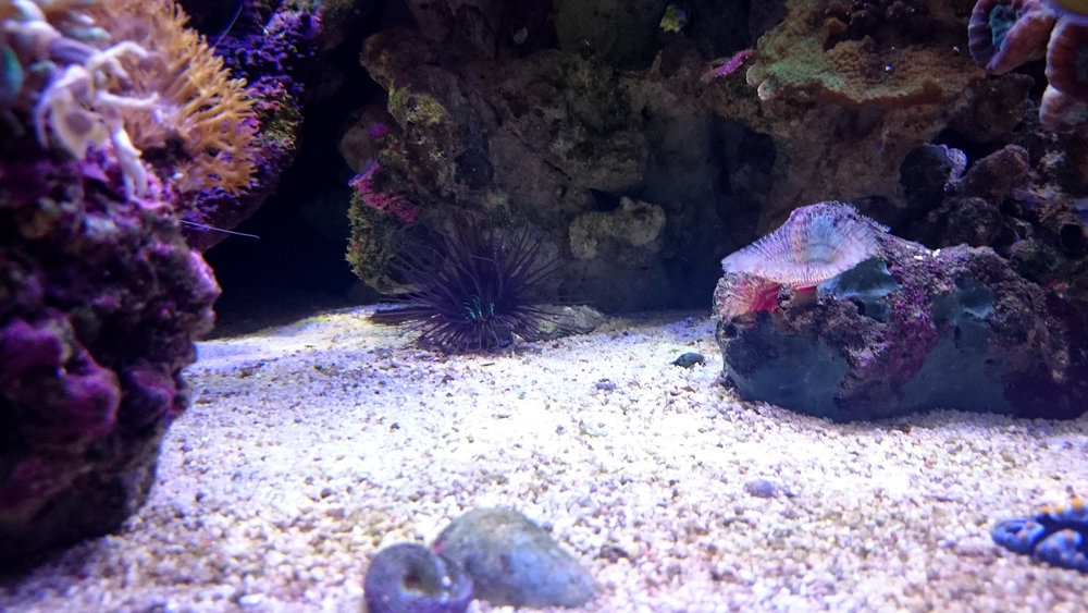 DSC_0969.JPG